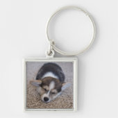 Kutest Baby Animals | Corgi Puppy op Shag Rug Sleutelhanger (Voorkant)