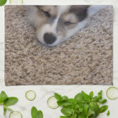 Kutest Baby Animals | Corgi Puppy op Shag Rug Theedoek (Gevouwen)