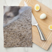 Kutest Baby Animals | Corgi Puppy op Shag Rug Theedoek (Quarter Fold)