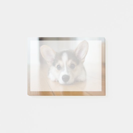 Kutest Baby Animals | Corgi Puppy Post-it® Notes (Voorkant)