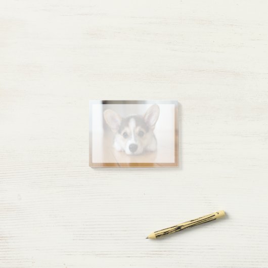 Kutest Baby Animals | Corgi Puppy Post-it® Notes (Op bureau)