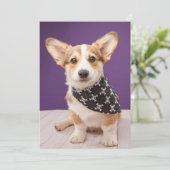 Kutest Baby Animals | Corgi Puppy Skull Bandana Bedankkaart (Staand voorkant)