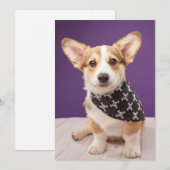 Kutest Baby Animals | Corgi Puppy Skull Bandana Bedankkaart (Voorkant / Achterkant)
