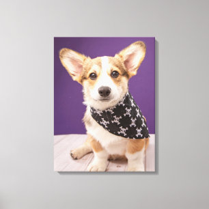 Kutest Baby Animals Corgi Puppy Skull Bandana Canvas Afdruk