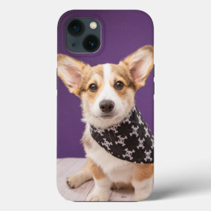 Kutest Baby Animals   Corgi Puppy Skull Bandana Case-Mate iPhone Case