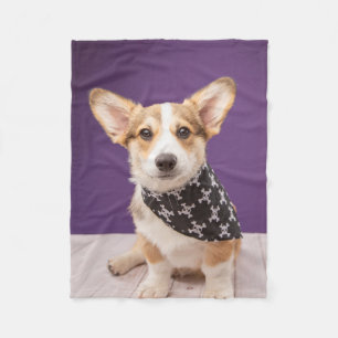 Kutest Baby Animals Corgi Puppy Skull Bandana Fleece Deken