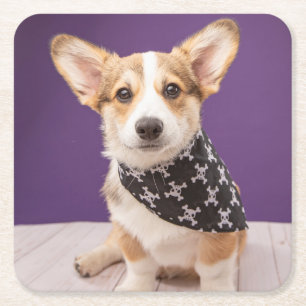 Kutest Baby Animals   Corgi Puppy Skull Bandana Kartonnen Onderzetters