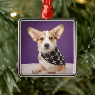 Kutest Baby Animals Corgi Puppy Skull Bandana Metalen Ornament