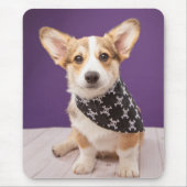 Kutest Baby Animals | Corgi Puppy Skull Bandana Muismat (Voorkant)