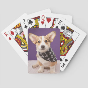 Kutest Baby Animals   Corgi Puppy Skull Bandana Pokerkaarten