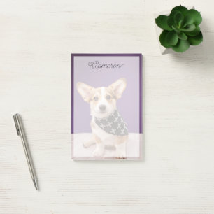 Kutest Baby Animals Corgi Puppy Skull Bandana Post-it® Notes
