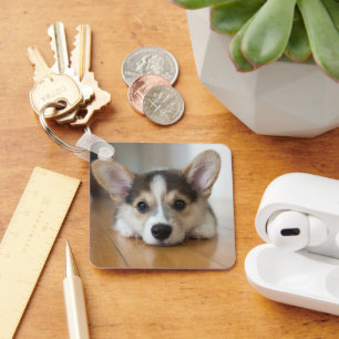 Kutest Baby Animals   Corgi Puppy Sleutelhanger