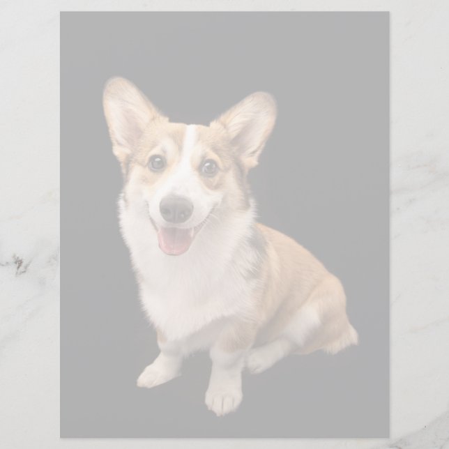 Kutest Baby Animals | Corgi Puppy Smile (Voorkant)