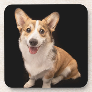 Kutest Baby Animals   Corgi Puppy Smile Bier Onderzetter