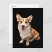 Kutest Baby Animals | Corgi Puppy Smile Briefkaart (Voorkant / Achterkant)
