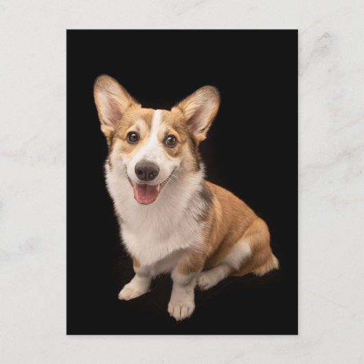 Kutest Baby Animals | Corgi Puppy Smile Briefkaart (Voorkant)