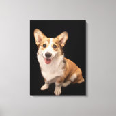 Kutest Baby Animals | Corgi Puppy Smile Canvas Afdruk (Voorkant)