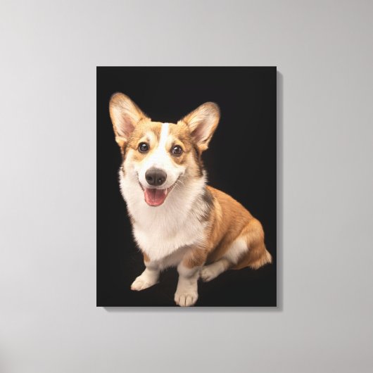 Kutest Baby Animals | Corgi Puppy Smile Canvas Afdruk (Voorkant)