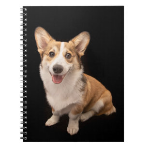 Kutest Baby Animals   Corgi Puppy Smile Notitieboek