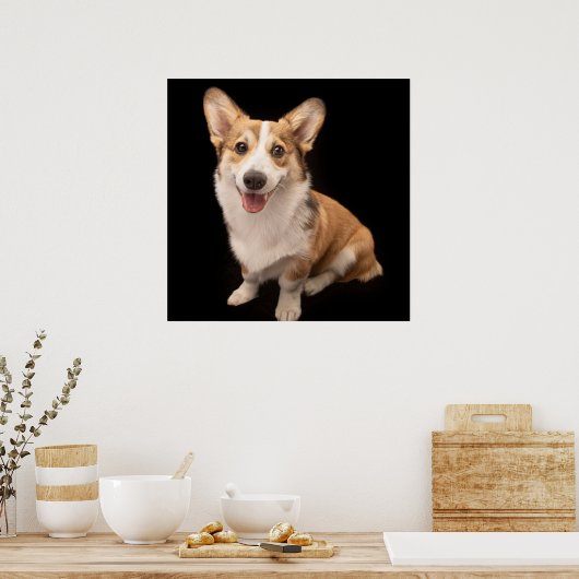 Kutest Baby Animals | Corgi Puppy Smile Poster (Keuken)