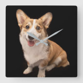 Kutest Baby Animals | Corgi Puppy Smile Vierkante Klok (Voorkant)