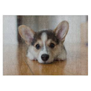 Kutest Baby Animals Corgi Puppy Snijplank
