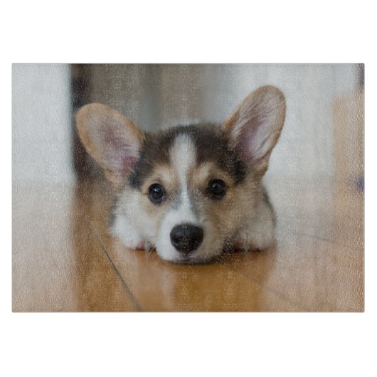Kutest Baby Animals | Corgi Puppy Snijplank (Voorkant)