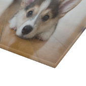 Kutest Baby Animals | Corgi Puppy Snijplank (Hoek)