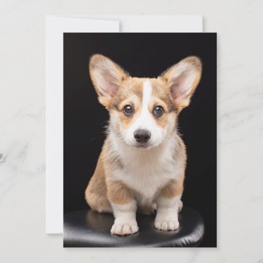 Kutest Baby Animals | Corgi Puppy Standing Tall Bedankkaart (Voorkant)