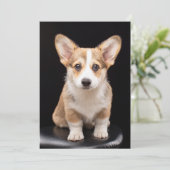 Kutest Baby Animals | Corgi Puppy Standing Tall Bedankkaart (Staand voorkant)