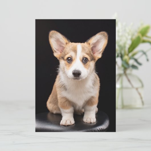 Kutest Baby Animals | Corgi Puppy Standing Tall Bedankkaart (Staand voorkant)