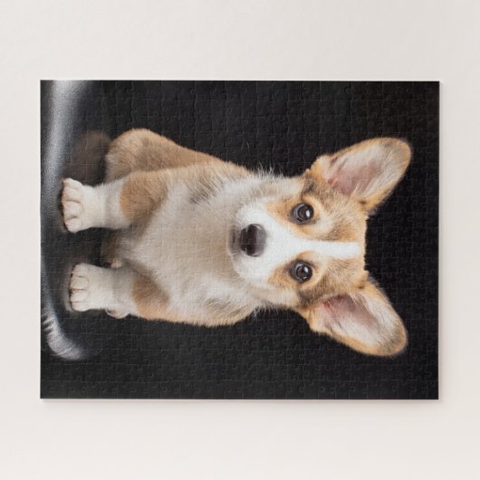 Kutest Baby Animals | Corgi Puppy Standing Tall Legpuzzel (Horizontaal)