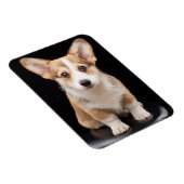 Kutest Baby Animals | Corgi Puppy Standing Tall Magneet (Rechterzijde)