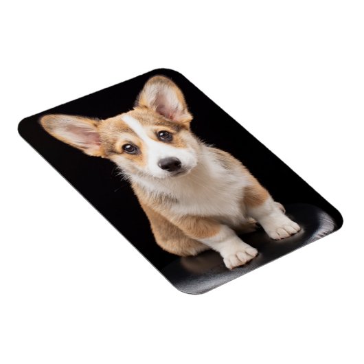 Kutest Baby Animals | Corgi Puppy Standing Tall Magneet (Rechterzijde)