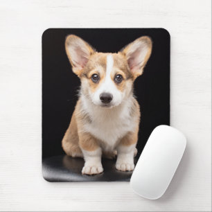 Kutest Baby Animals Corgi Puppy Standing Tall Muismat