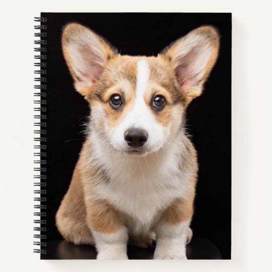 Kutest Baby Animals | Corgi Puppy Standing Tall Notitieboek (Voorkant)