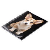 Kutest Baby Animals | Corgi Puppy Standing Tall Notitieboek (Linkerzijde)