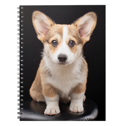 Kutest Baby Animals | Corgi Puppy Standing Tall Notitieboek (Voorkant)