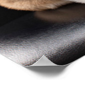 Kutest Baby Animals | Corgi Puppy Standing Tall Poster (Hoek)