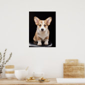 Kutest Baby Animals | Corgi Puppy Standing Tall Poster (Keuken)