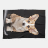 Kutest Baby Animals | Corgi Puppy Standing Tall Theedoek (Horizontaal)