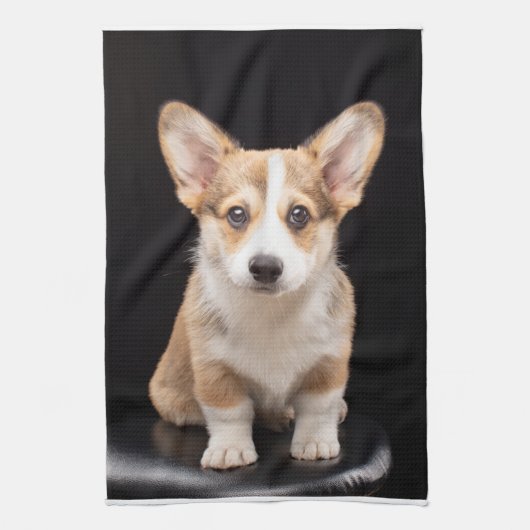 Kutest Baby Animals | Corgi Puppy Standing Tall Theedoek (Verticaal)