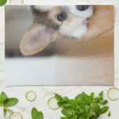 Kutest Baby Animals | Corgi Puppy Theedoek (Gevouwen)