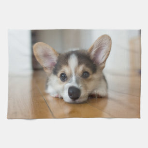Kutest Baby Animals Corgi Puppy Theedoek