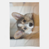 Kutest Baby Animals | Corgi Puppy Theedoek (Verticaal)