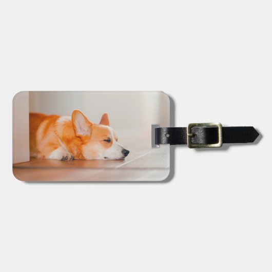 Kutest Baby Animals | Corgi Slaping Bagagelabel (Voorkant horizontaal)