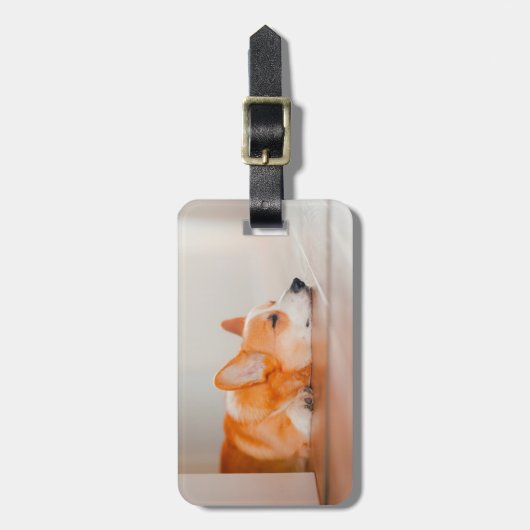 Kutest Baby Animals | Corgi Slaping Bagagelabel (Voorkant verticaal)