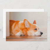 Kutest Baby Animals | Corgi Slaping Bedankkaart (Voorkant / Achterkant)