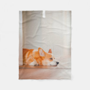 Kutest Baby Animals Corgi Slaping Fleece Deken