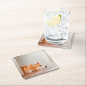 Kutest Baby Animals | Corgi Slaping Kartonnen Onderzetters (Insitu)